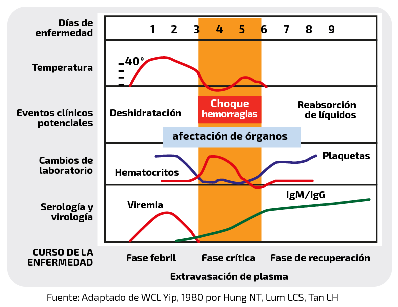 Dengue Hay Que Estar Atento A Los S Ntomas La Foia Portal De Noticias